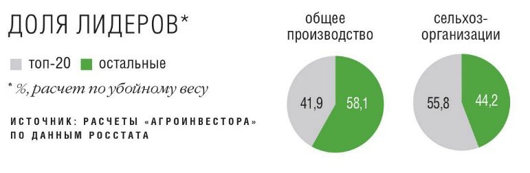 Доля лидеров в рейтинге ТОП-20 крупнейших производителей мяса в России